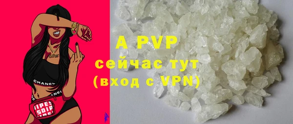 стафф Медвежьегорск