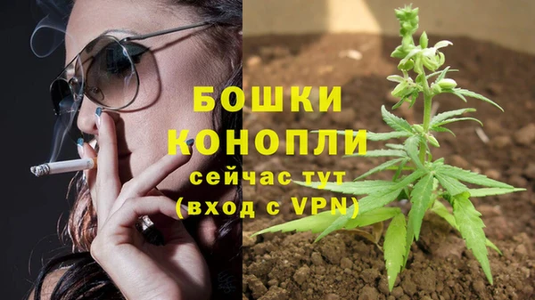 бошки Михайлов