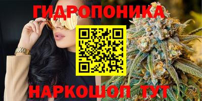 винт Балашиха