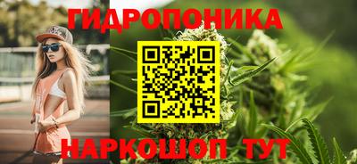 твердый Заводоуковск