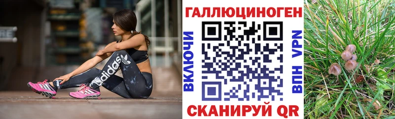 blacksprut зеркало  Мыски  Псилоцибиновые грибы мицелий 