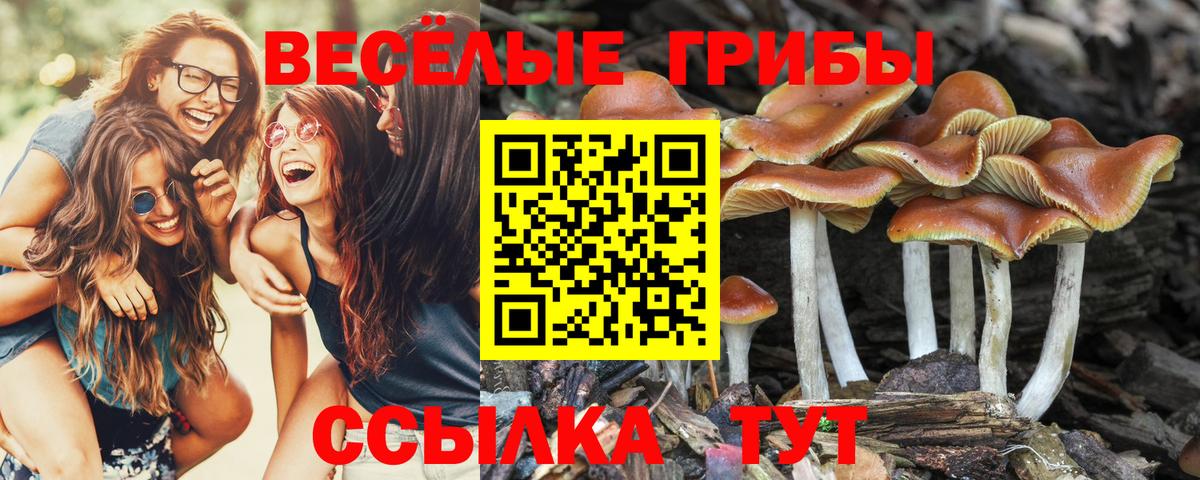 Галлюциногенные грибы Cubensis  цены наркотик  Мыски 